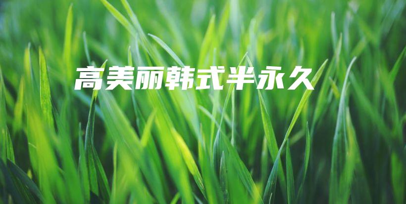 高美麗韓式半永久插圖
