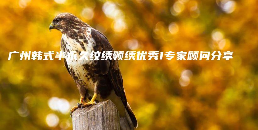 廣州韓式半永久紋繡領(lǐng)繡優(yōu)秀I專家顧問(wèn)分享插圖