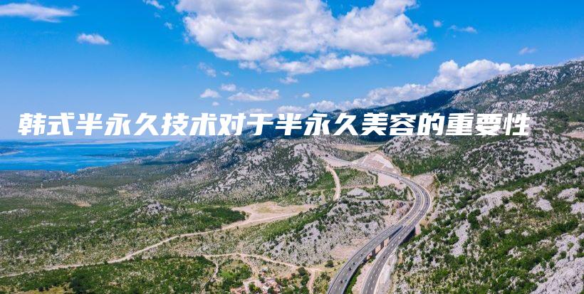 韓式半永久技術(shù)對于半永久美容的重要性插圖