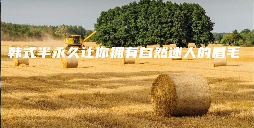 韓式半永久讓你擁有自然迷人的眉毛插圖