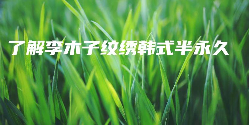 了解李木子紋繡韓式半永久插圖