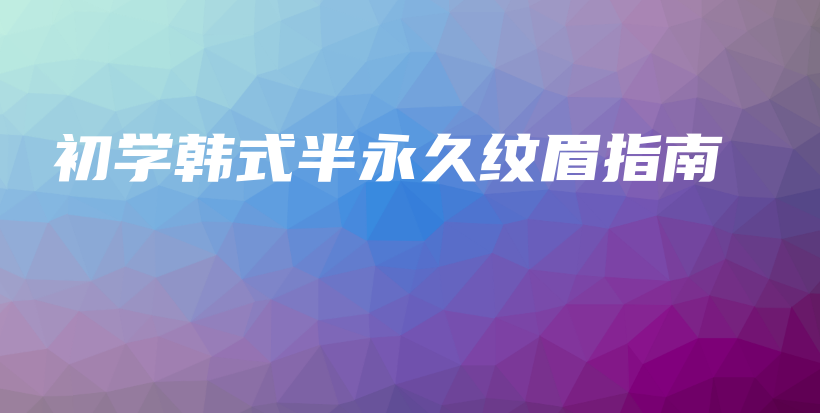 初學(xué)韓式半永久紋眉指南插圖