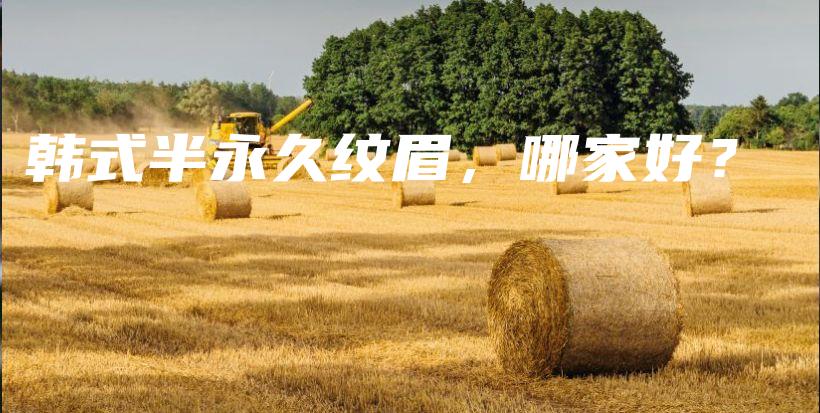 韓式半永久紋眉，哪家好？插圖