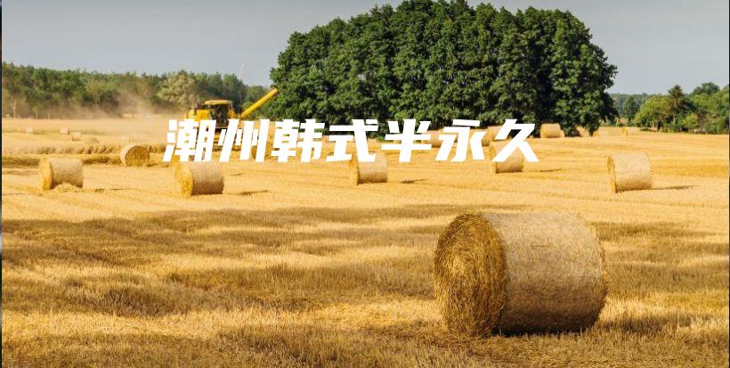 潮州韓式半永久插圖