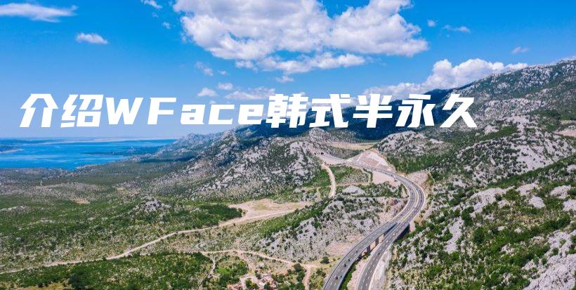 介紹WFace韓式半永久插圖