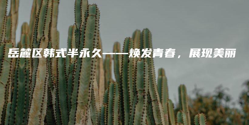 岳麓區(qū)韓式半永久——煥發(fā)青春，展現(xiàn)美麗插圖