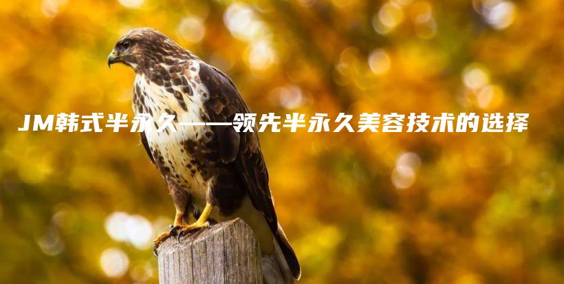 JM韓式半永久——領(lǐng)先半永久美容技術(shù)的選擇插圖