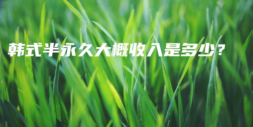 韓式半永久大概收入是多少？插圖
