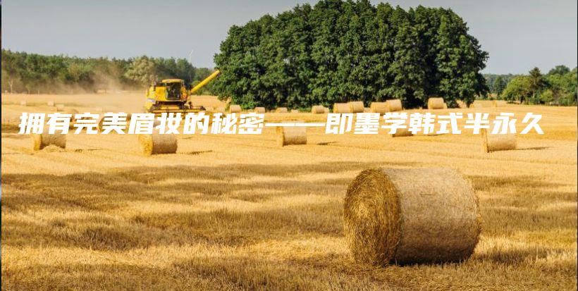 擁有完美眉妝的秘密——即墨學(xué)韓式半永久插圖