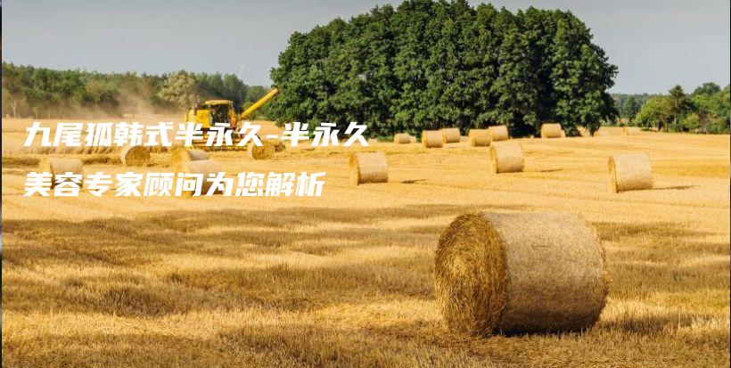 九尾狐韓式半永久-半永久美容專家顧問為您解析插圖