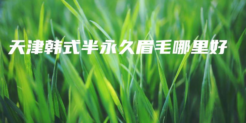 天津韓式半永久眉毛哪里好插圖