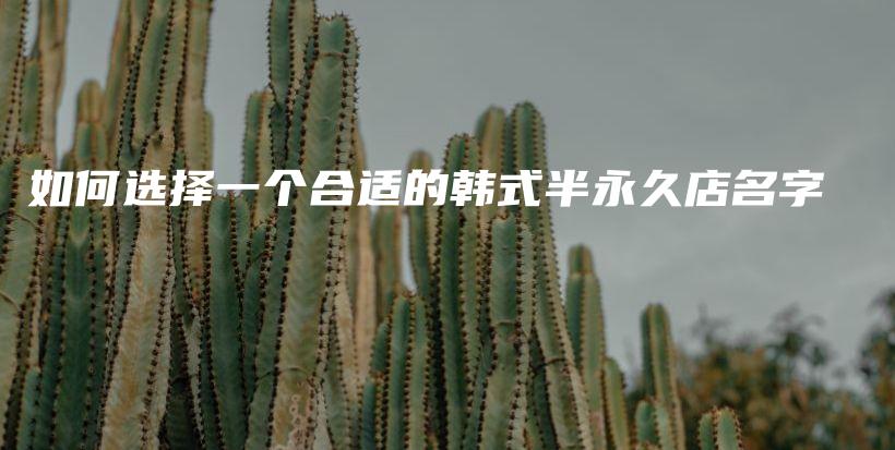 如何選擇一個(gè)合適的韓式半永久店名字插圖