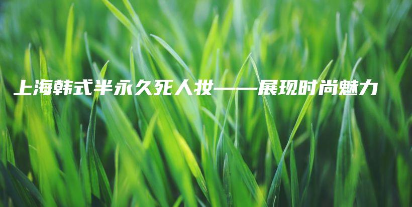 上海韓式半永久死人妝——展現(xiàn)時(shí)尚魅力插圖