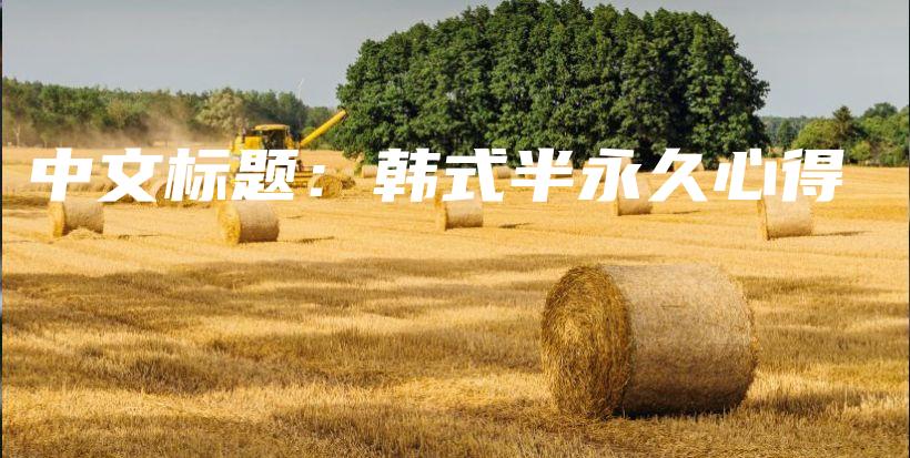 中文標(biāo)題：韓式半永久心得插圖