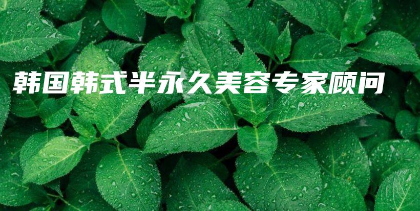 韓國韓式半永久美容專家顧問插圖