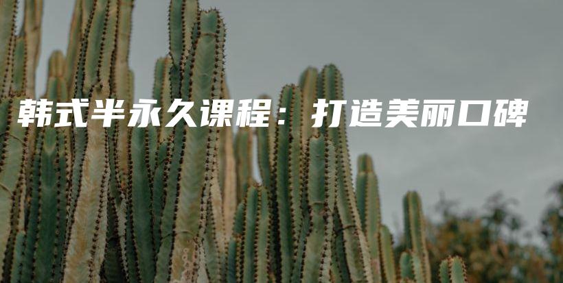 韓式半永久課程：打造美麗口碑插圖