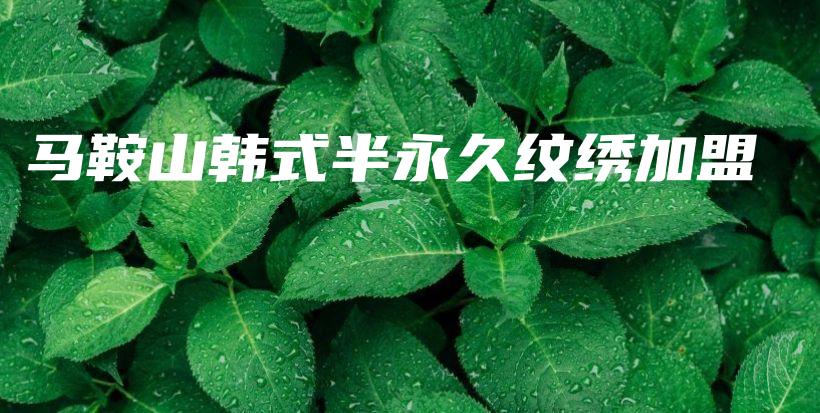 馬鞍山韓式半永久紋繡加盟插圖
