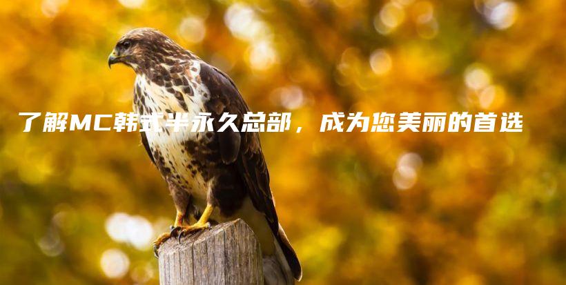 了解MC韓式半永久總部，成為您美麗的首選插圖