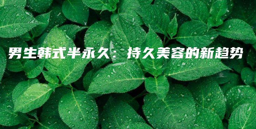 男生韓式半永久：持久美容的新趨勢(shì)插圖