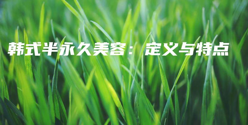 韓式半永久美容：定義與特點(diǎn)插圖