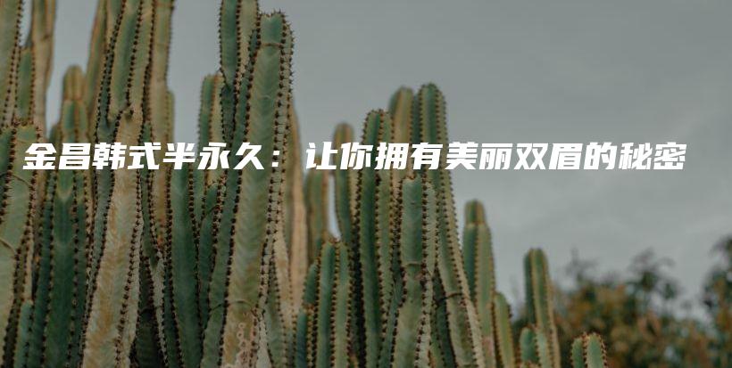 金昌韓式半永久：讓你擁有美麗雙眉的秘密插圖