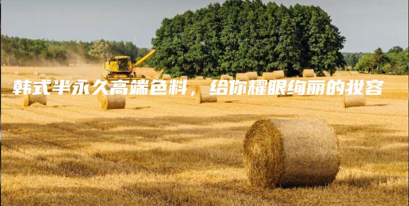 韓式半永久高端色料，給你耀眼絢麗的妝容插圖