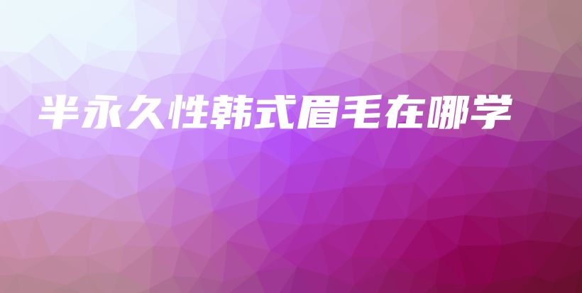 半永久性韓式眉毛在哪學(xué)插圖
