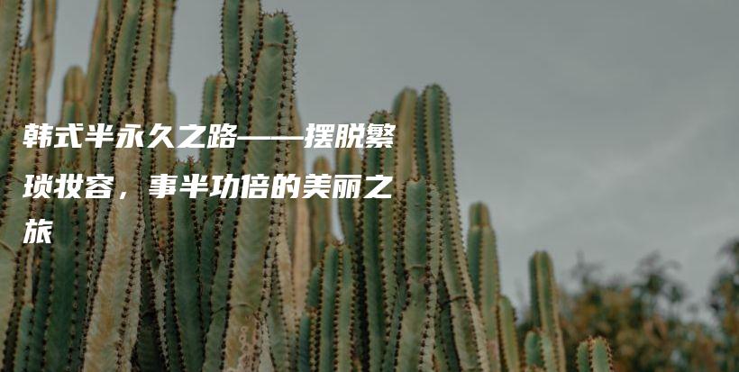 韓式半永久之路——擺脫繁瑣妝容，事半功倍的美麗之旅插圖