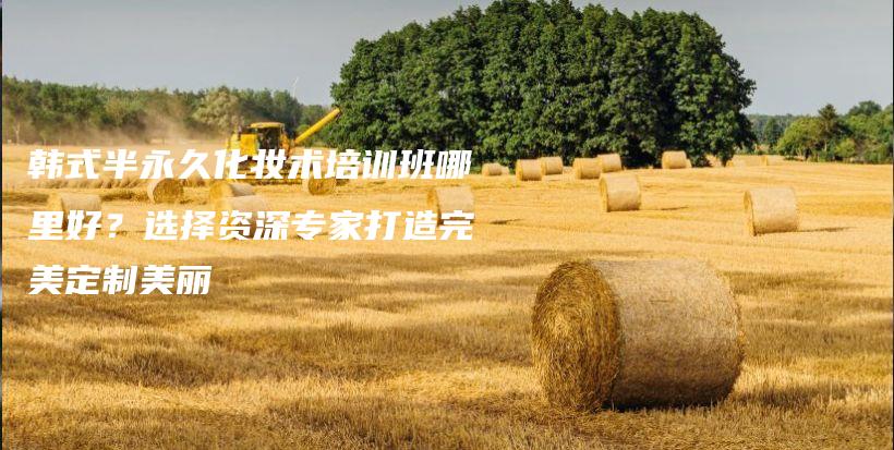 韓式半永久化妝術(shù)培訓(xùn)班哪里好？選擇資深專家打造完美定制美麗插圖