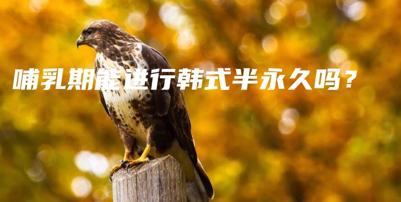 哺乳期能進(jìn)行韓式半永久嗎？插圖