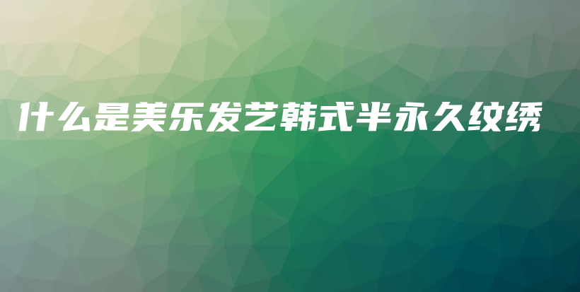 什么是美樂(lè)發(fā)藝韓式半永久紋繡插圖