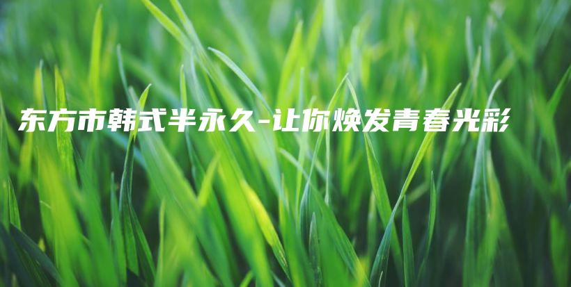 東方市韓式半永久-讓你煥發(fā)青春光彩插圖