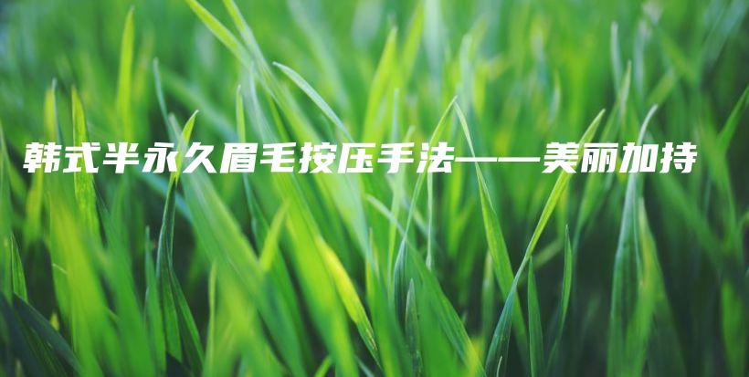 韓式半永久眉毛按壓手法——美麗加持插圖