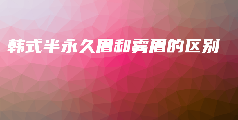 韓式半永久眉和霧眉的區(qū)別插圖