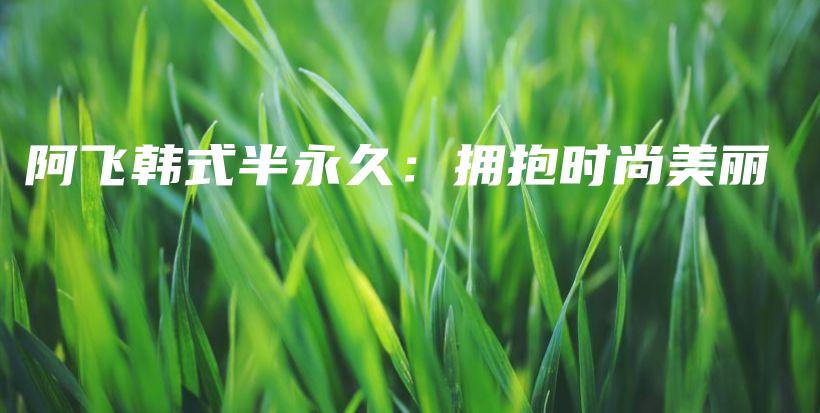 阿飛韓式半永久：擁抱時(shí)尚美麗插圖