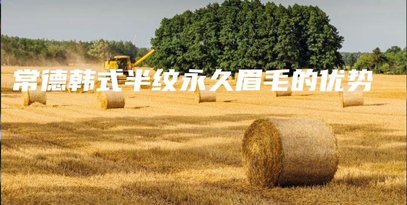 常德韓式半紋永久眉毛的優(yōu)勢插圖