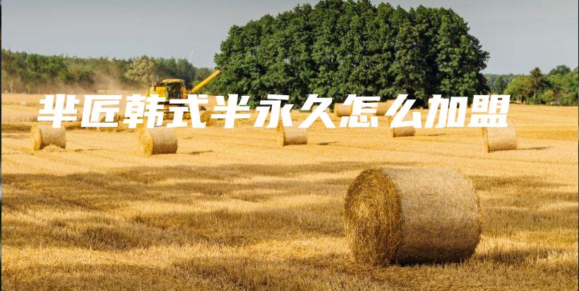 羋匠韓式半永久怎么加盟插圖