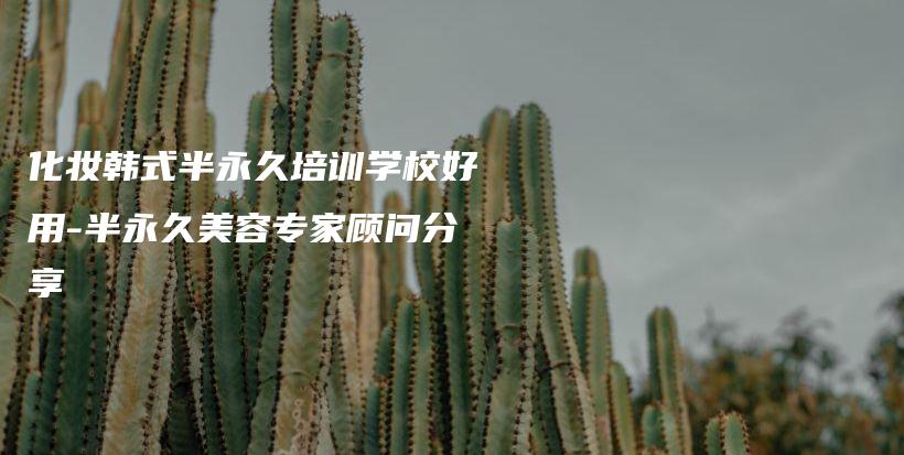 化妝韓式半永久培訓(xùn)學(xué)校好用-半永久美容專(zhuān)家顧問(wèn)分享插圖