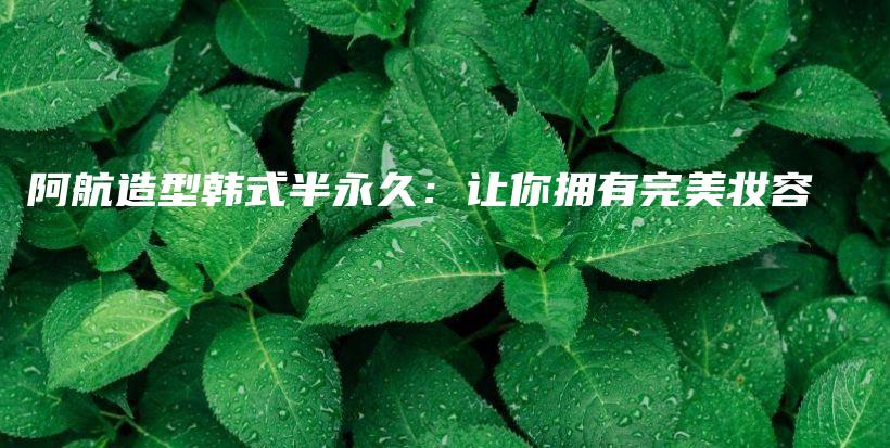 阿航造型韓式半永久：讓你擁有完美妝容插圖