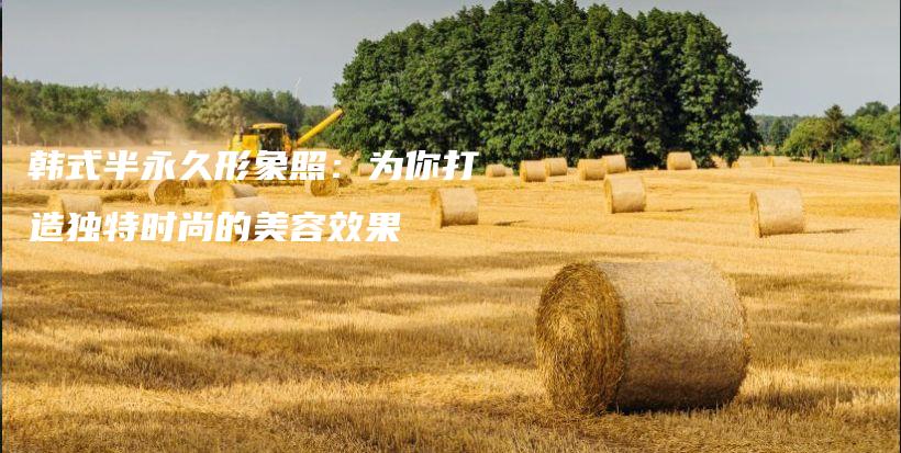 韓式半永久形象照：為你打造獨(dú)特時(shí)尚的美容效果插圖