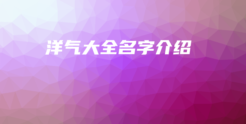 洋氣大全名字介紹插圖