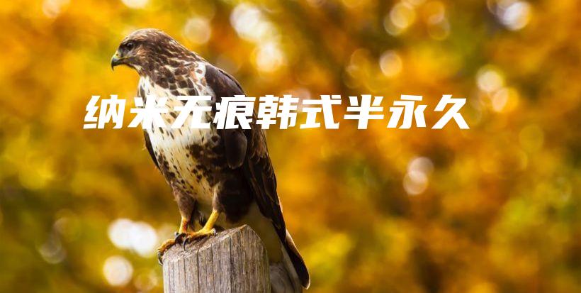 納米無痕韓式半永久插圖