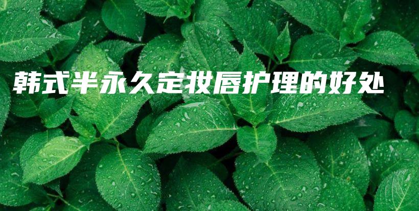 韓式半永久定妝唇護(hù)理的好處插圖