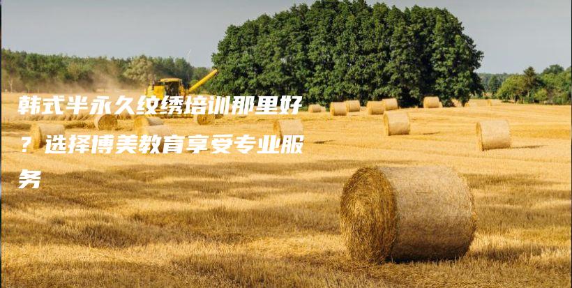 韓式半永久紋繡培訓(xùn)那里好？選擇博美教育享受專業(yè)服務(wù)插圖