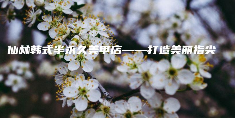 仙林韓式半永久美甲店——打造美麗指尖插圖