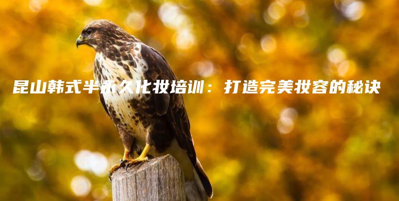 昆山韓式半永久化妝培訓(xùn)：打造完美妝容的秘訣插圖