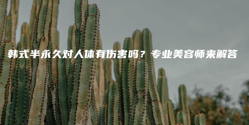 韓式半永久對人體有傷害嗎？專業(yè)美容師來解答插圖