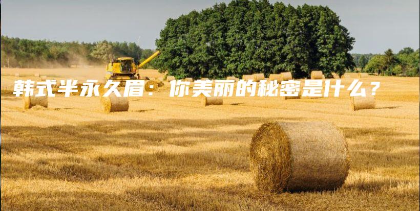韓式半永久眉：你美麗的秘密是什么？插圖