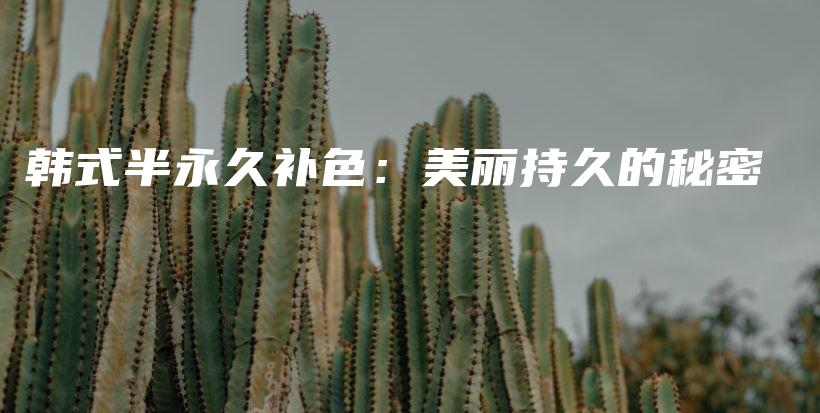 韓式半永久補色：美麗持久的秘密插圖