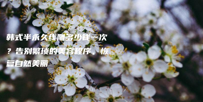 韓式半永久線雕多少錢一次？告別繁瑣的美容程序，恢復自然美麗插圖